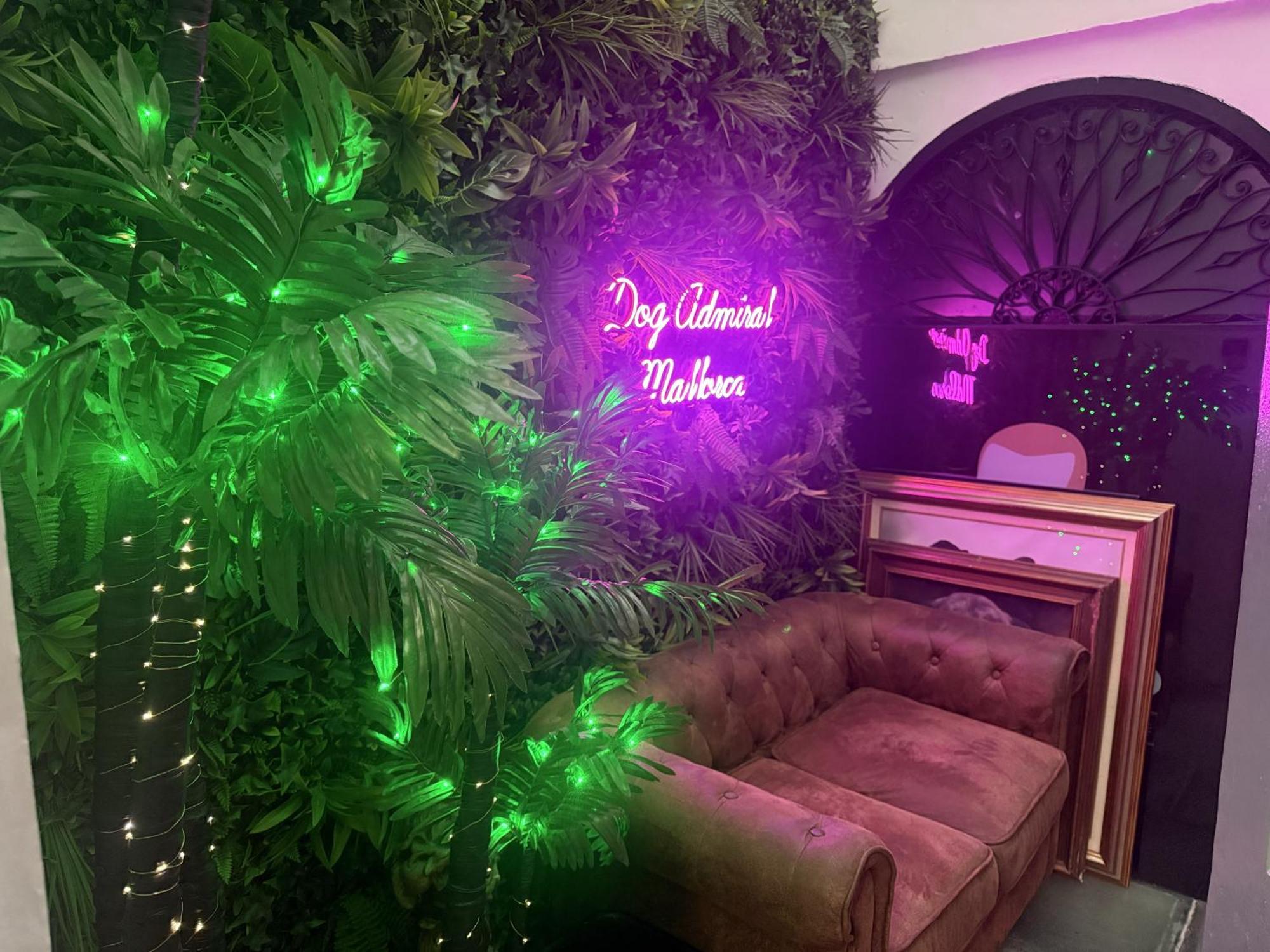 Dog Admiral - Urban Guest House パルマ・デ・マリョルカ エクステリア 写真